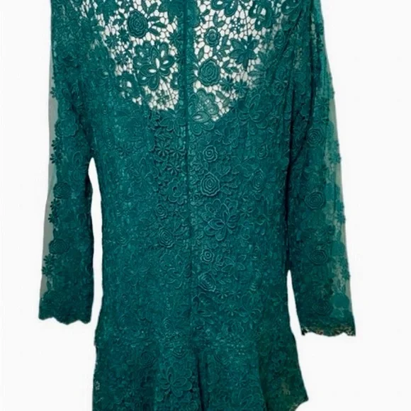 aerie green babydoll dress Metallic Jacquard Portrait Collar Side Drape Gown